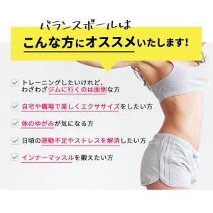 ヨガボール バランスボール 65cm 55cm...の詳細画像1