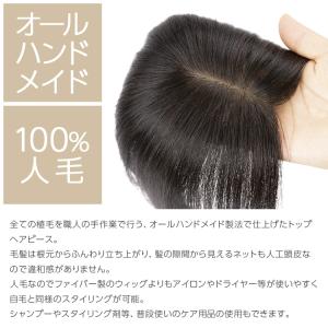 総手植え レミー 人毛100% トップカバー ...の詳細画像2