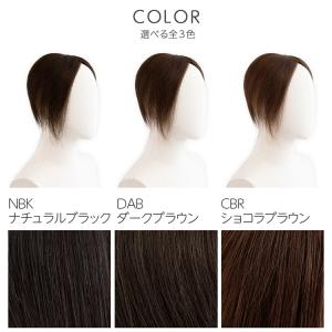 総手植え レミー 人毛100% トップカバー ...の詳細画像5