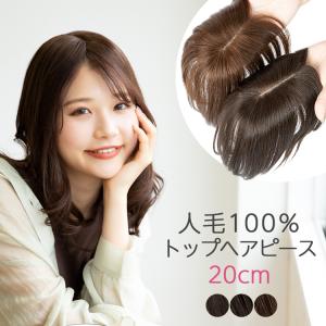 ヘアピース 人毛100% 人毛 100 ウィッグ トップカバー 部分ウィッグ 自然 トップヘアピース 人毛ウィッグ 医療用 かつら 医療用ウィッグ つけ毛