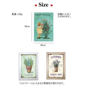 ガーデニング 雑貨 プランター プレート ブリ...の詳細画像3