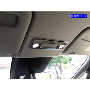 ブライツ BRIGHTZ スカイライン V36 4ドア 超鏡面ステンレスブラック