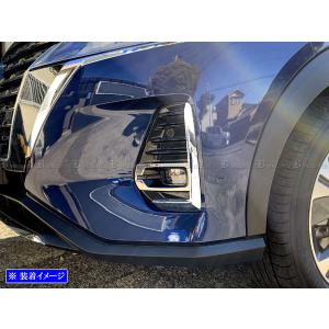 ブライツ BRIGHTZ ステップワゴンスパーダ RK5 RK6 後期 メッキフォグ