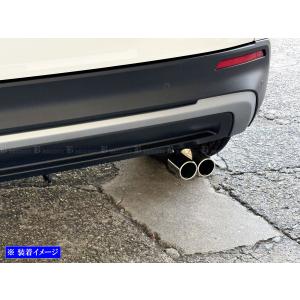 BRIGHTZ WR-V DG5 ステンレス2...の詳細画像3