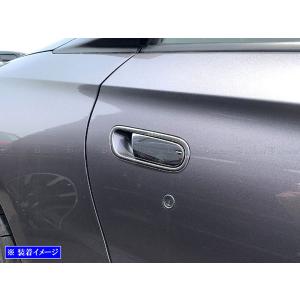 S660 JW5 ステンレス ウィンドウ モール 2PC カーボン調 水切り