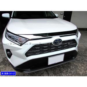 ブライツ BRIGHTZ RAV4 PHV AXAP54 メッキサラウンドグリルモール