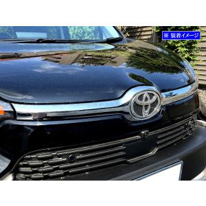 ブライツ BRIGHTZ シエンタ 10 15 メッキフロントグリルカバー