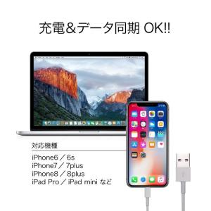 iPhone 充電ケーブル 1m USBケーブ...の詳細画像2