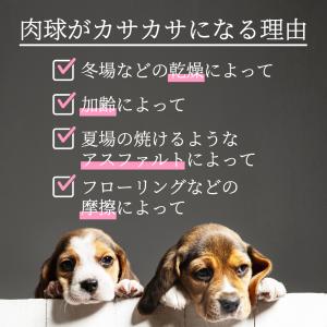 肉球クリーム 肉球ケア 犬 猫 ペット 保湿 ...の詳細画像1