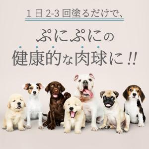 肉球クリーム 肉球ケア 犬 猫 ペット 保湿 ...の詳細画像2