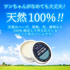 肉球クリーム 肉球ケア 犬 猫 ペット 保湿 ...の詳細画像3