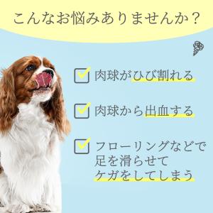 肉球クリーム 肉球ケア 犬 猫 ペット 保湿 ...の詳細画像4