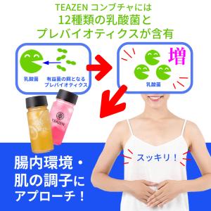 TEAZEN コンブチャ 酵素 粉末 韓国 選...の詳細画像3