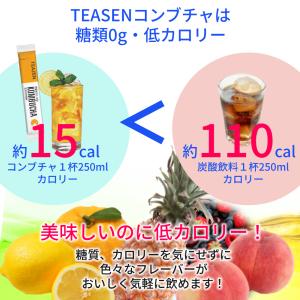 TEAZEN コンブチャ 酵素 粉末 韓国 選...の詳細画像4