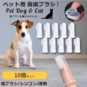 ドクターデンタルワン 30g 3本 犬 歯磨き ジェル ペット Dr.Dental