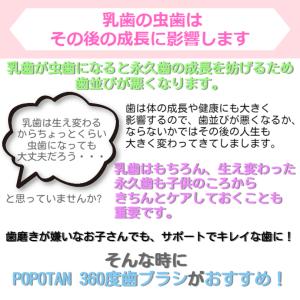 360度毛歯ブラシ POPOTAN ポポタン ...の詳細画像3
