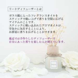 ディフューザー スティック 30cm 30本 ...の詳細画像3
