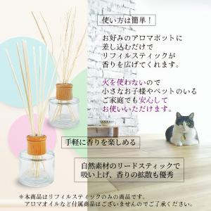 ディフューザー スティック 30cm 30本 ...の詳細画像4