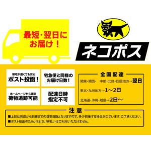 ヤードム インヘラー タイ 眠気覚まし VAP...の詳細画像5