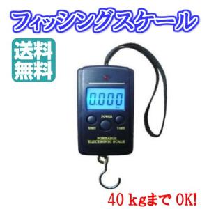 フィッシング スケール デジタル ラゲッジチェッカー