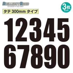 4輪競技用 ゼッケン ナンバー カッティングステッカー タテ約300mmタイプ 0〜9 同数字3枚セット｜brilliantroad