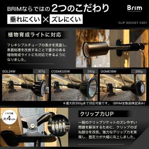 【公式】BRIM (ブリム) クリップソケット...の詳細画像2