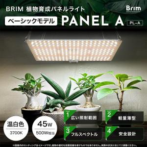 【公式】BRIM(ブリム) PANEL A 植...の詳細画像1
