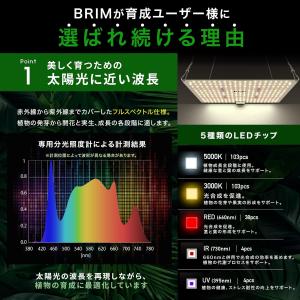 【公式】BRIM(ブリム) PANEL A 植...の詳細画像3