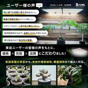 【公式】BRIM(ブリム) PANEL A 植...の詳細画像2