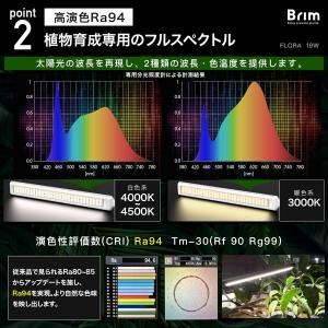 【公式】BRIM(ブリム) FLORA 植物育...の詳細画像4