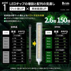 【公式】BRIM(ブリム) FLORA 植物育...の詳細画像3