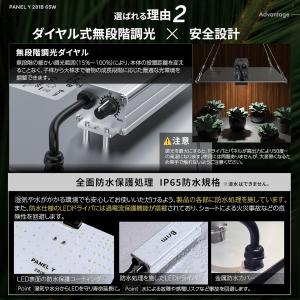 【公式】BRIM(ブリム) PANEL Y 植...の詳細画像2