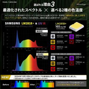 【公式】BRIM(ブリム) PANEL Y 植...の詳細画像3