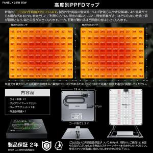 【公式】BRIM(ブリム) PANEL Y 植...の詳細画像4