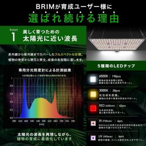 【公式】BRIM(ブリム) PANEL A 植...の詳細画像3
