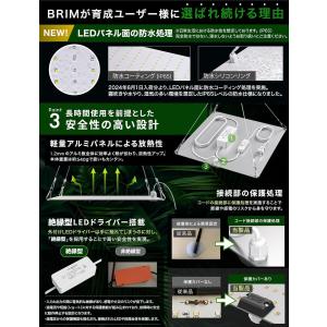 【公式】BRIM(ブリム) PANEL A 植...の詳細画像5
