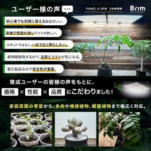 【公式】BRIM(ブリム) PANEL A 植...の詳細画像2