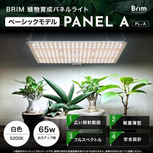 【公式】BRIM(ブリム) PANEL A 植...の詳細画像1