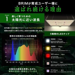 【公式】BRIM(ブリム) PANEL A 植...の詳細画像3