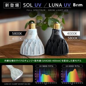 【公式】BRIM(ブリム) 植物育成ライト S...の詳細画像4
