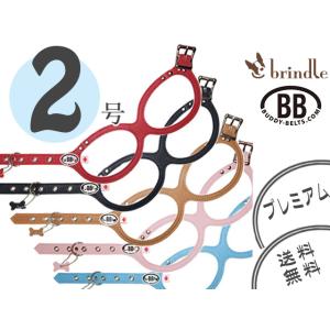 ダイエティクス 犬用 ストルバイトブロック 3kg ストルバイト尿石症
