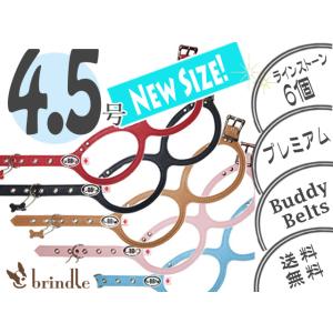 4.5号　ストーン（6個）付き　プレミアム　BUDDY BELTS（バディーベルト）　ハーネス　めが...