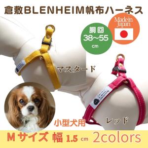 LOUIS VUITTON（ルイ・ヴィトン） ドッグ リーシュ モノグラム