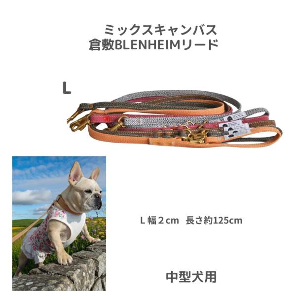 犬 リード  L 中型犬 倉敷製帆布 ミックスキャンバス カフェリード  日本製 おしゃれ