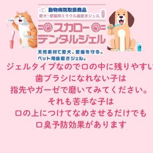 スカローデンタルジェル 犬猫用歯磨き 動物病院...の詳細画像2