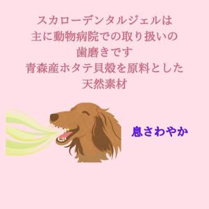 スカローデンタルジェル 犬猫用歯磨き 動物病院...の詳細画像3