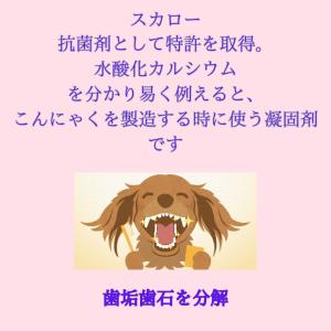 スカローデンタルジェル 犬猫用歯磨き 動物病院...の詳細画像5