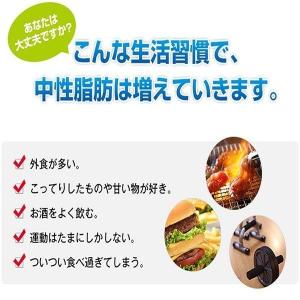 送料無料 ニッスイ特保飲料イマークS 10本セットの詳細画像2
