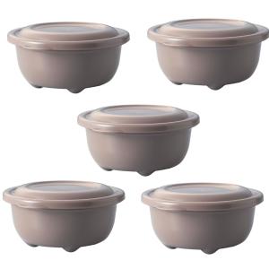 タケヤ化学工業(Takeya) レンジでふっくらごはん 5個組 250ml ベージュ 日本製 食洗機対応 冷凍 冷蔵庫 106910