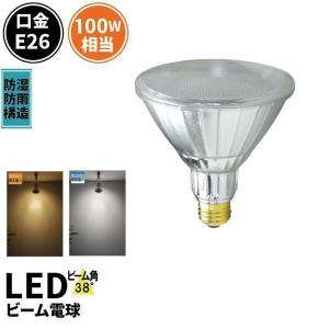 岩崎電気 岩崎 屋外用レフランプ 散光形 RF110V450WH 500W形 E39口金